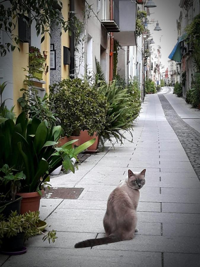 Via San Giacomo 10 Κάλιαρι Εξωτερικό φωτογραφία